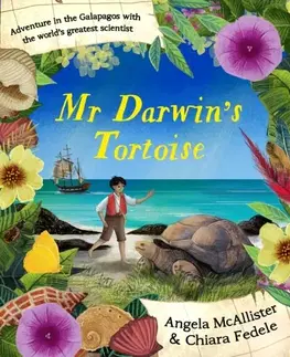 Leporelá, krabičky, puzzle knihy Mr Darwin's Tortoise - Angela McAllister