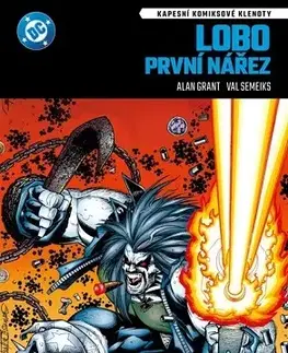 Komiksy Kapesní komiksové klenoty - Lobo: První nářez - Grant Alan,Val Semeiks