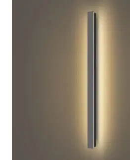 LED osvetlenie BRILAGI - LED Vonkajšie nástenné svietidlo LINEAR LED/22W/230V 3000K IP65 antracit BRI284