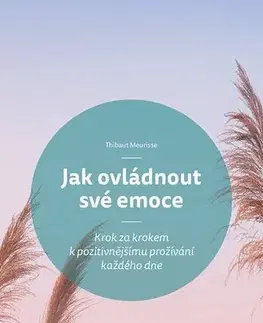 Rozvoj osobnosti Jak ovládnout své emoce - Meurisse Thibaut