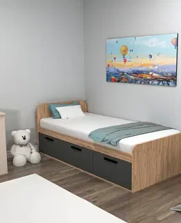 Postele Rám jednolôžkovej postele Akser - Atlantic Pine, Anthracite