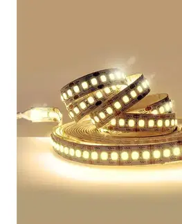 LED osvetlenie  WM613 - LED Pásik LED/80W/12V 5m teplá biela WM613
