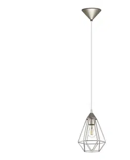 Svietidlá Eglo 33617 - Závesný luster na lane TARBES 1xE27/60W/230V 33617