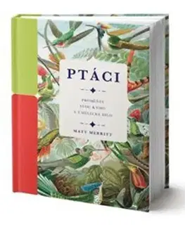 Príroda Ptáci - Matt Merritt