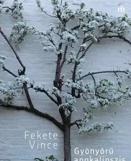 Svetová poézia Gyönyörű apokalipszis - Vince Fekete