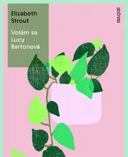 Svetová beletria Lucy Bartonová 1: Volám sa Lucy Bartonová - Elizabeth Stroutová,Lucia Halová