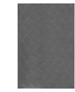 Moderné koberce Koberec Stilo 0,8/1,5 392 995 antracit
