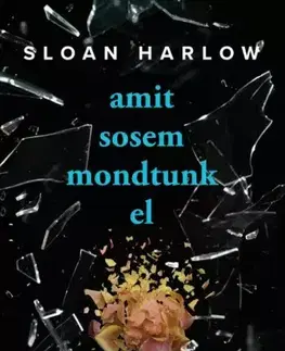 Detektívky, trilery, horory Amit sosem mondtunk el - Sloan Harlow
