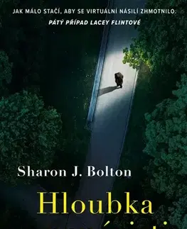 Detektívky, trilery, horory Hloubka nenávisti - Sharon J. Bolton