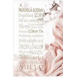 Obrazy s textom Obraz v ráme s textom - Pravidlá rodiny, ružová