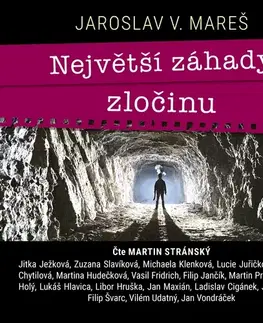 Fejtóny, rozhovory, reportáže Témbr Největší záhady zločinu