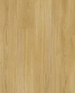 Thermofix pro wood FATRA Thermofix pre wood Dub prírodný 14174-1