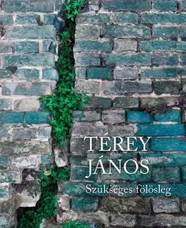 Svetová beletria Szükséges fölösleg - János Térey