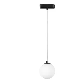 Svietidlá Rabalux 70131 - LED Stm. luster na lanku do 1-fáz. lišt. sys. LiTrack LED/5W/24V 70131