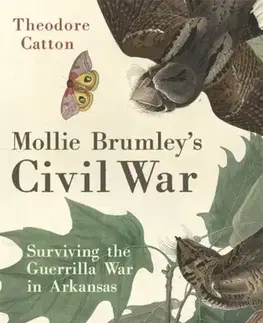 História Mollie Brumley's Civil War - Theodore Catton