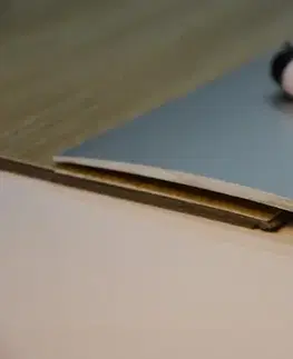Přechodové lišty a profily Prechodový profil 120 mm, oblý (skrutkovací) | nivelácia 0 - 10 mm Stříbro E01