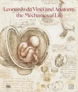 Dejiny, teória umenia Leonardo da Vinci and Anatomy