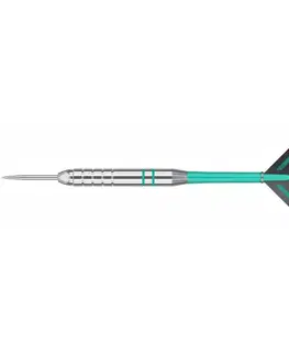 Šípky Target Rob Cross Silver Voltage Steel 3ks 24 g
