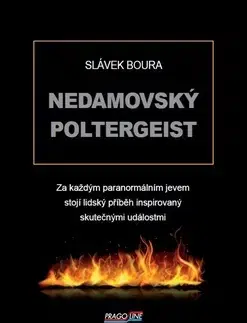 Detektívky, trilery, horory Nedamovský poltergeist - Slávek Boura
