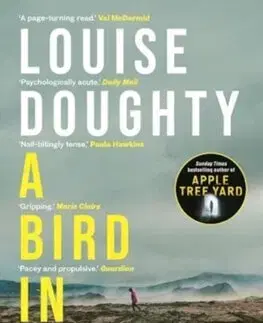 Detektívky, trilery, horory A Bird in Winter - Louise Doughtyová