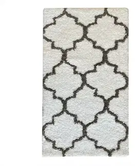Moderné koberce Koberec Shaggy Appleton 0,8/1,5 PSR-13552
