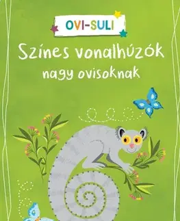 Príprava do školy, pracovné zošity Színes vonalhúzók nagy ovisoknak - Corina Beurenmeister