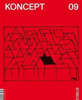 Architektúra Koncept 09 - Strecha - Kolektív autorov