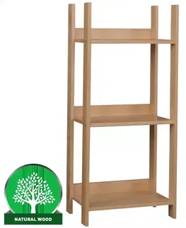 Vitríny a regály do obývačky Regál eko nízky 120 borovica morená dub