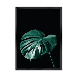 Obrazy Plagát Dark Monstera