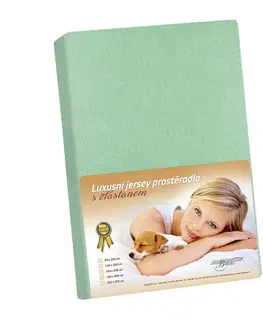 Plachty Bellatex Jersey prestieradlo s elastanom svetlozelená, 180 x 200 cm