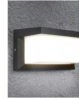 Svietidlá  LED RGBW stmievateľné vonkajšie nástenné svietidlo NEELY 1xE27/12W/230V IP54 antracit BW0296+AI0819