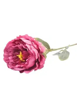 Záhradné dekorácie Paeonia 74cm cyclamowy A2010684