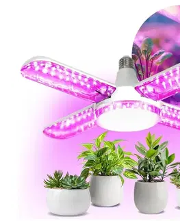 LED osvetlenie LED Žiarovka na rast rastlín VITABLOOM E27/40W/230V 1200K - BRILAGI 004068