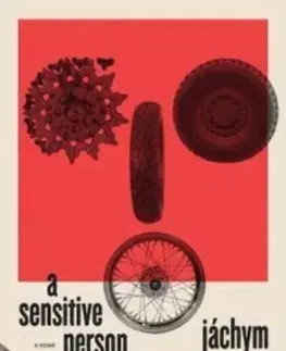 Česká beletria Sensitive Person - Jáchym Topol,Alex Zucker