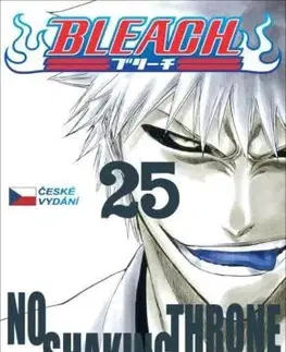 Manga Bleach 25: No Shaking Throne - Kubo Tite