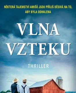 Detektívky, trilery, horory Vlna vzteku - Linda Castillo