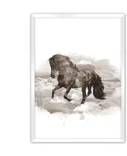 Obrazy Plagát Horse