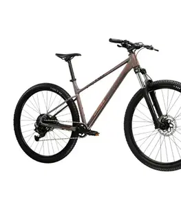 Bicykle Horský bicykel Kross Level X100  29" - model 2026 šedá / hnedá / matný - M (17", 172-180 cm)