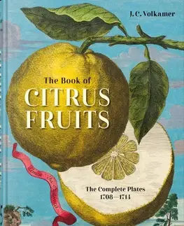 Maliarstvo, grafika J. C. Volkamer. The Book of Citrus Fruits. 45th Ed. - J. C. Volkamer