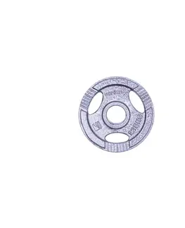 Závažia k činkám Liatinový kotúč inSPORTline Hamerton 1,25 kg 30 mm