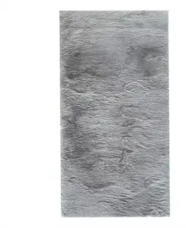 Moderné koberce Koberec Fuzzy 27 0,8/1,5 95 sivý