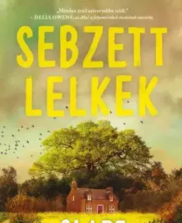 Detektívky, trilery, horory Sebzett lelkek - Clare Leslie Hall