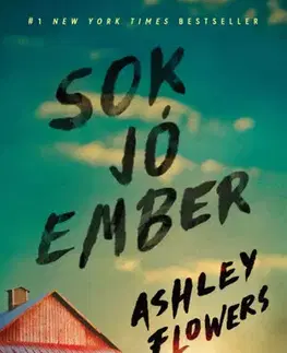 Detektívky, trilery, horory Sok jó ember - Ashley Flowers,Zoltán Pék