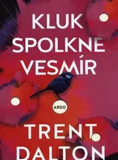 Svetová beletria Kluk spolkne vesmír - Trent Dalton,Puchalská Bára Punge
