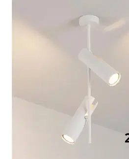 Svietidlá BRILAGI - LED RGBW stmievateľný luster na tyči BRANCH 2xGU10/6,5W/230V biela BG5257+2xAI0589