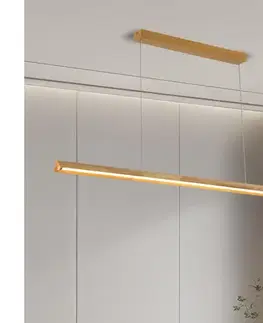 Svietidlá BRILAGI - LED luster na lanku UMEA WOOD LED/40W/230V 150 cm drevo BRI457