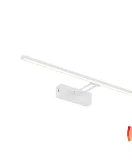 Svietidlá Redo 01-3462 - LED Obrazové svietidlo LINEAR LED/8W/230V 60,5 cm CRI 92 biela 01-3462