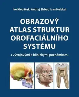 Medicína - ostatné Obrazový atlas struktur orofaciálního systému - Ivo Klepáček,Andrej Shbat,Ivan Helekal
