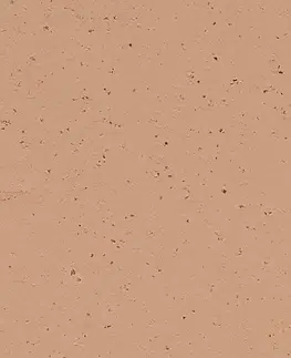 Marmoleum solid cocoa FORBO Marmoleum solid cocoa Salted caramel 3592