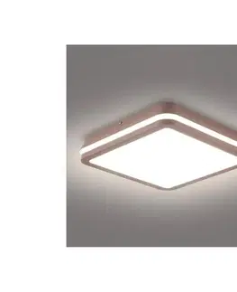 LED osvetlenie BRILAGI -LED vonkajšie stropné svietidlo BENE LED/24W/230V 26x26 cm hnedé IP54 BRI737
